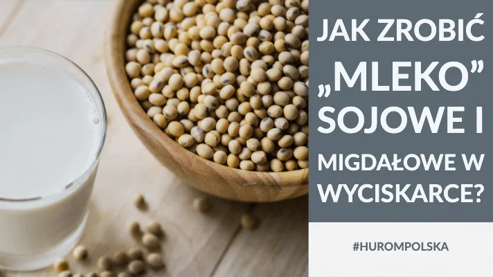 Jak zrobić „mleko” sojowe i migdałowe w wyciskarce elektrycznej?