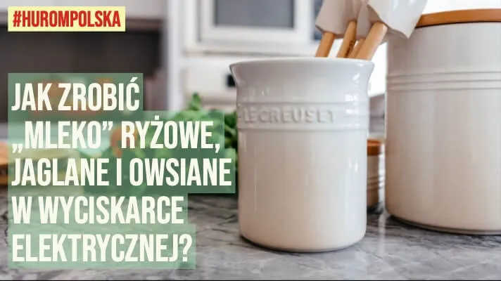 Jak zrobić „mleko” ryżowe, jaglane i owsiane w wyciskarce elektrycznej?