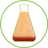 juice-14